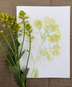 A Different Type of Flowers for Mom